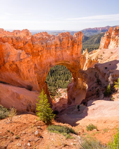 Natural Bridge along the scenic drive within Bryce Canyon National Park. © Roaming the Southwest