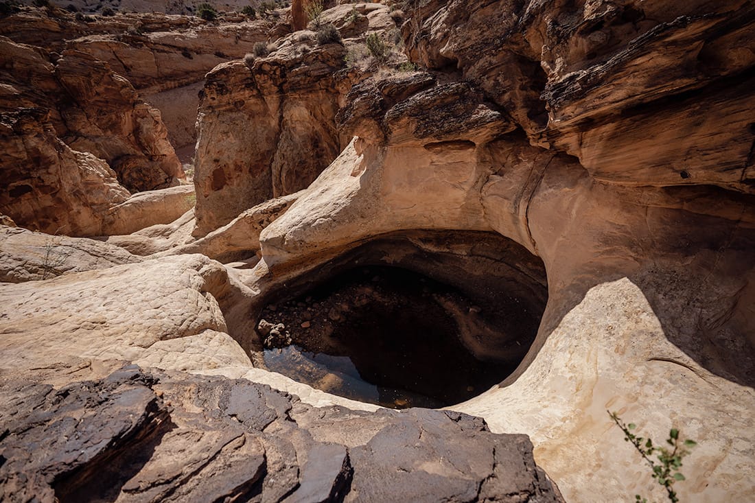 The Tanks in Capitol Gorge, a series of natural water pockets carved into the sandstone. © Roaming the Southwest