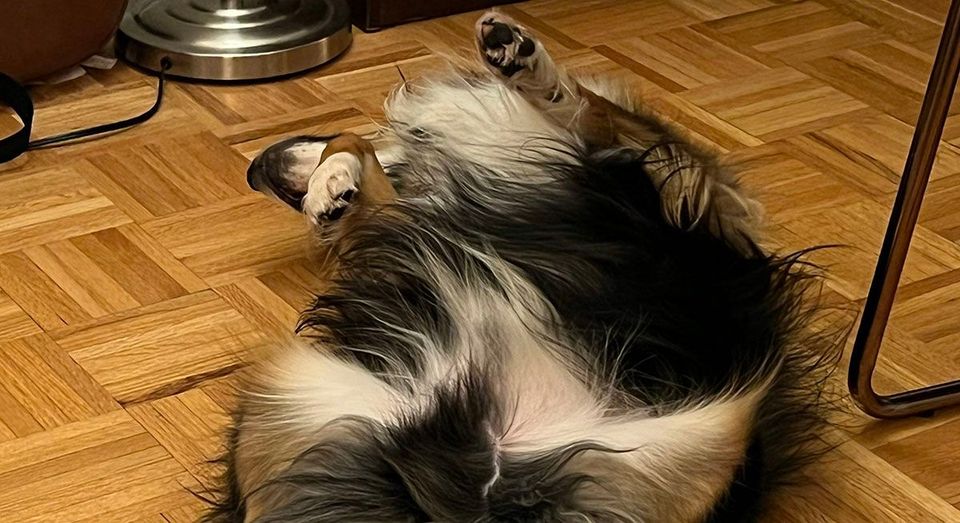 Crash Reporting and KMP