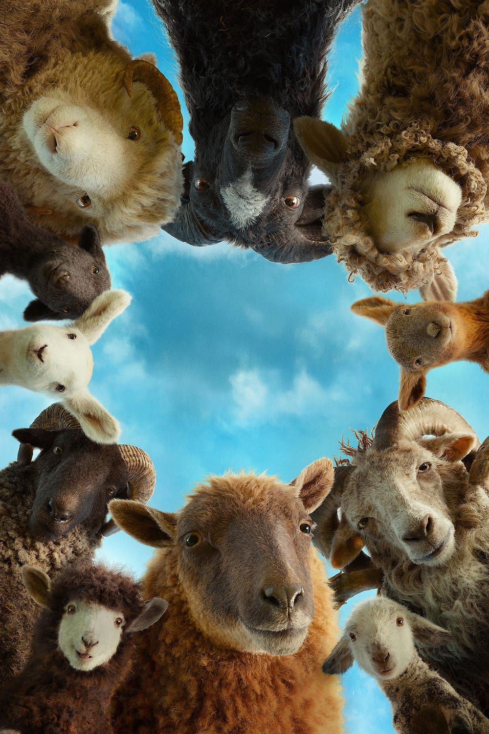 The Sheep Detectives Review