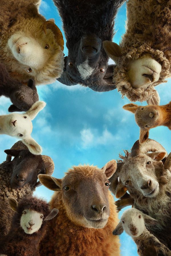 The Sheep Detectives Review