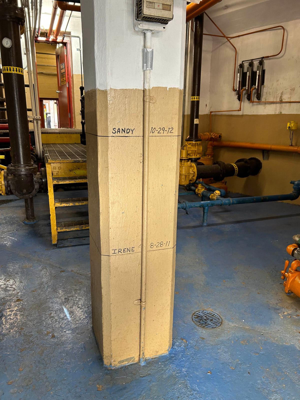 Crypto bill passed, wee beasties in NYC's water, and more