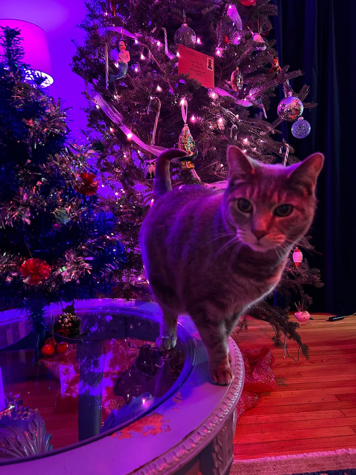 Merry Christmas from Empire of Dirt