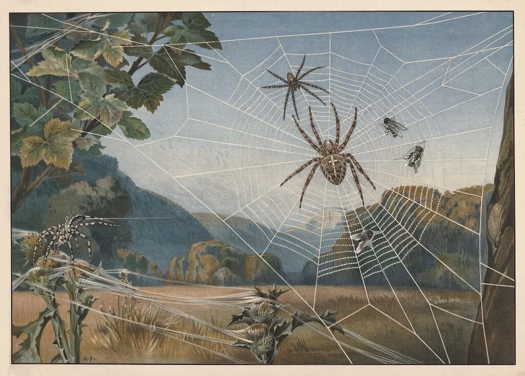 Field notes - Disney concept artists & surveillance webs
