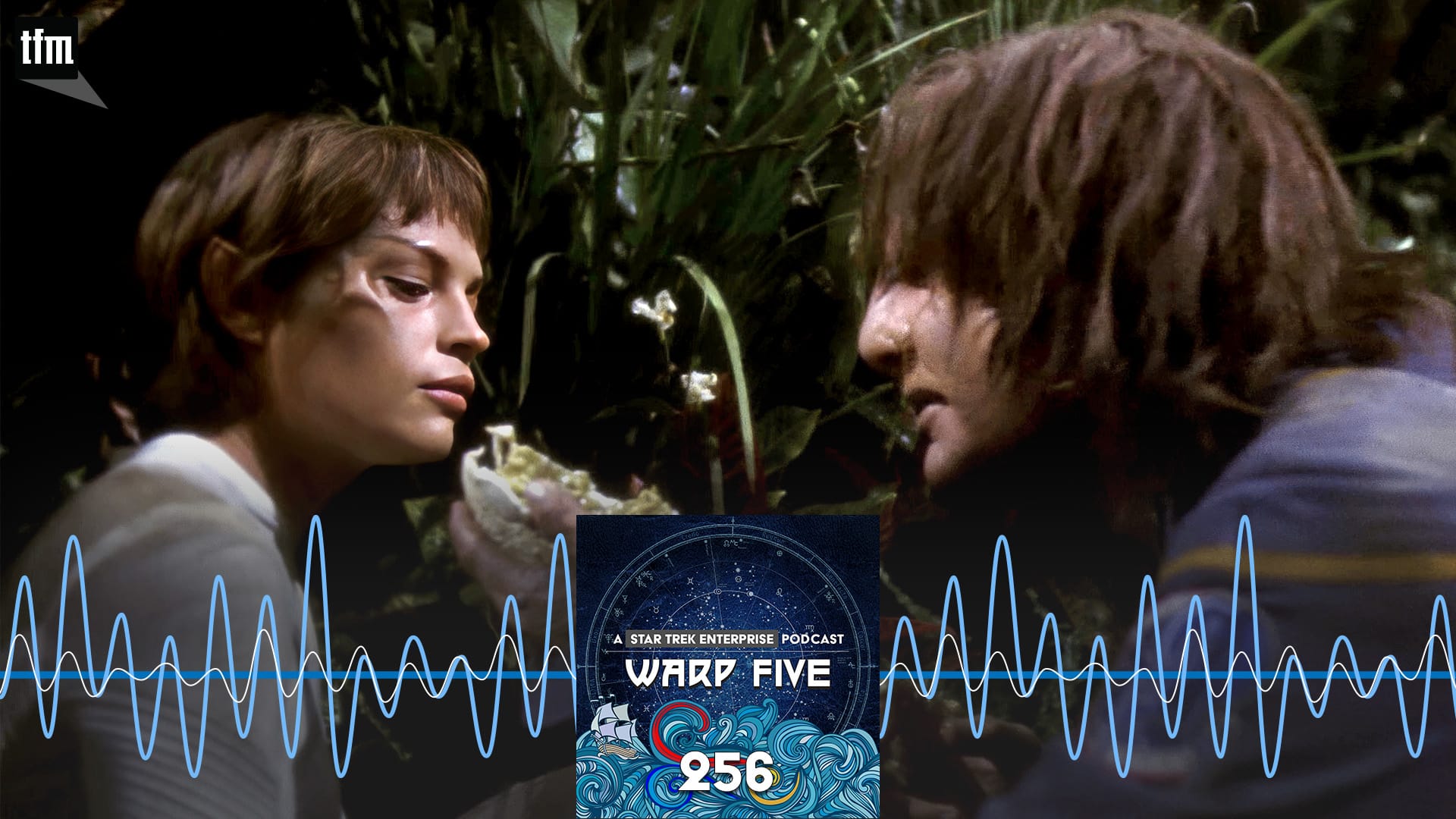 Warp Five 256: Silk Worm Floss
