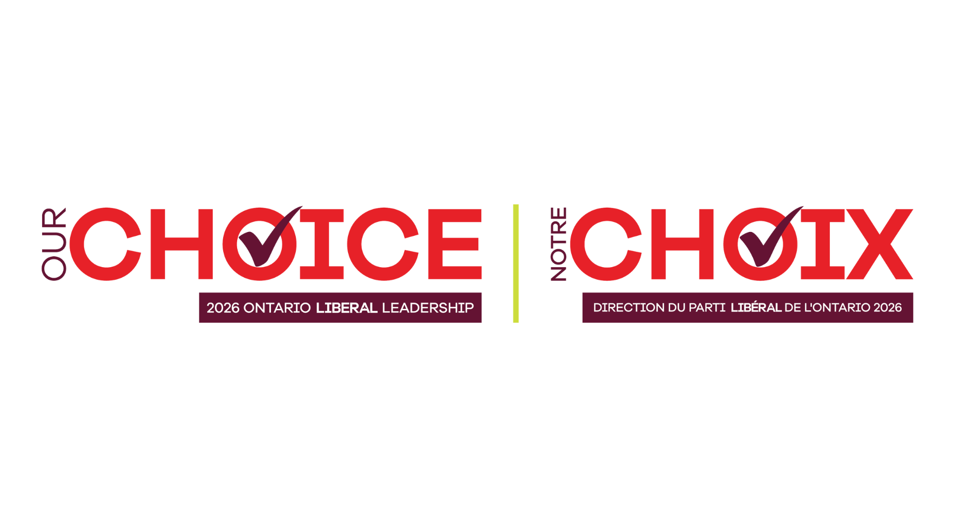 Ontario Liberals set 2026 leadership race for November 20, unveil strict new candidate rules