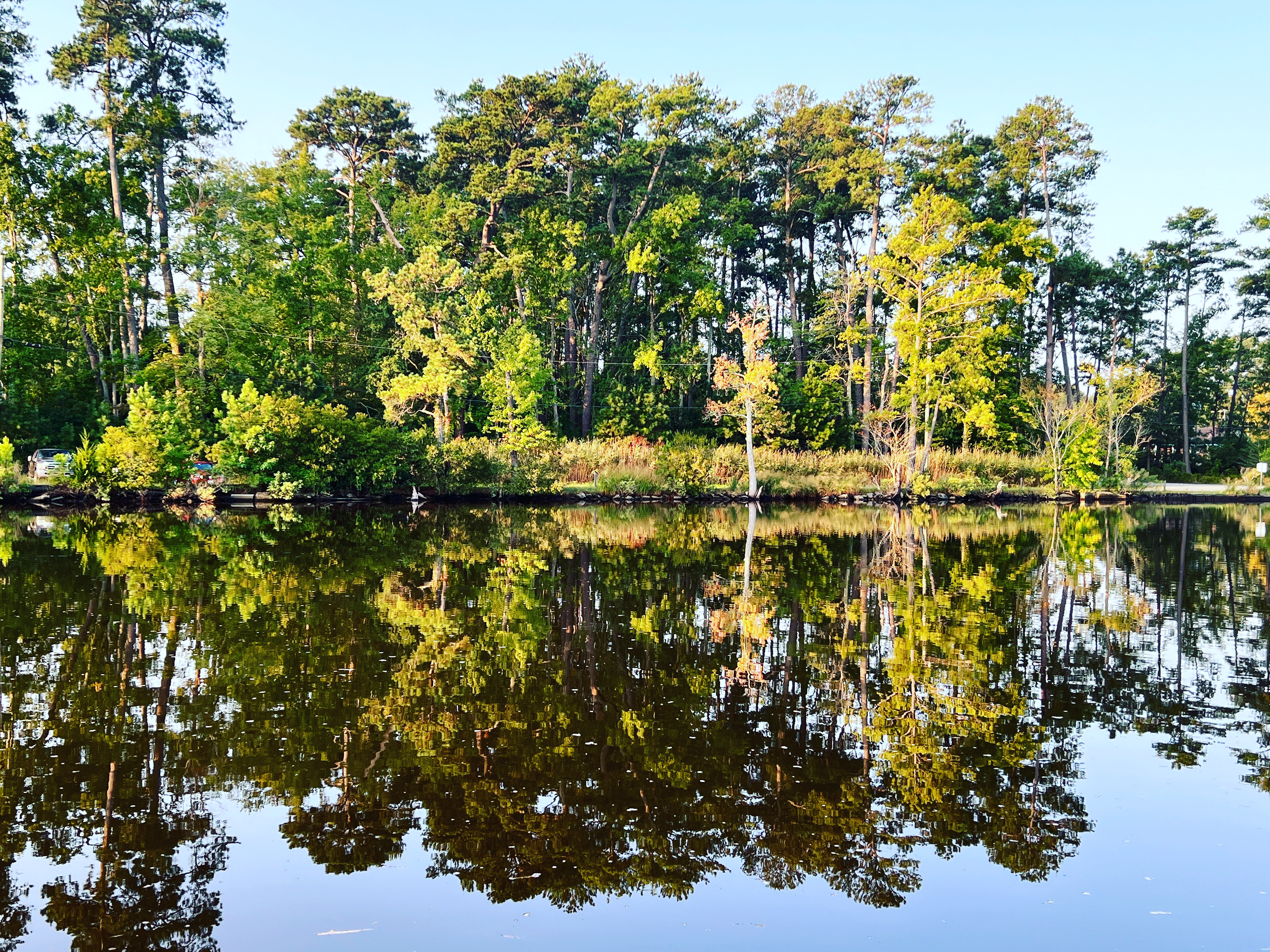 Glassy waters of a river with trees in the background