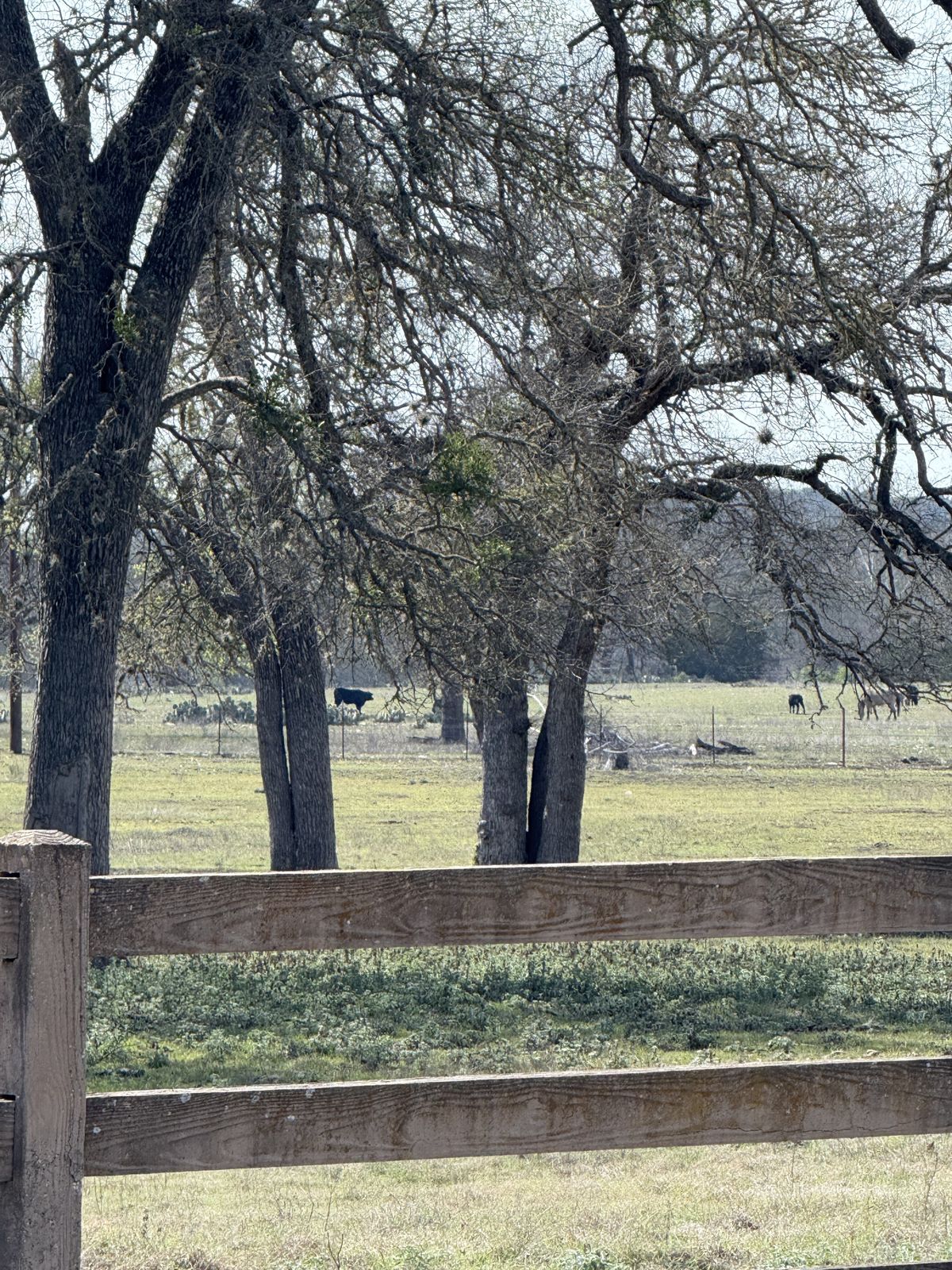 Texas Hill Country