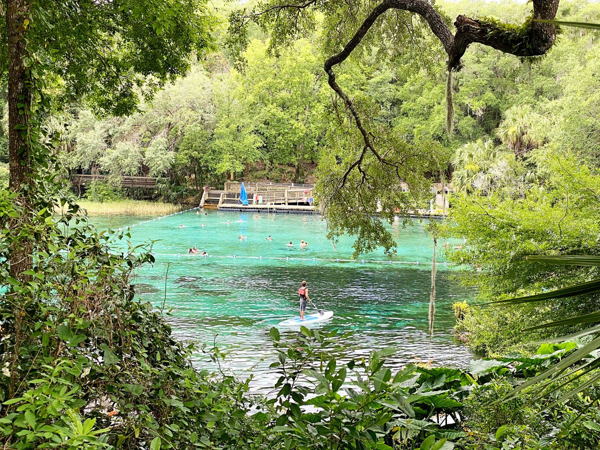 Natural Springs Across Florida