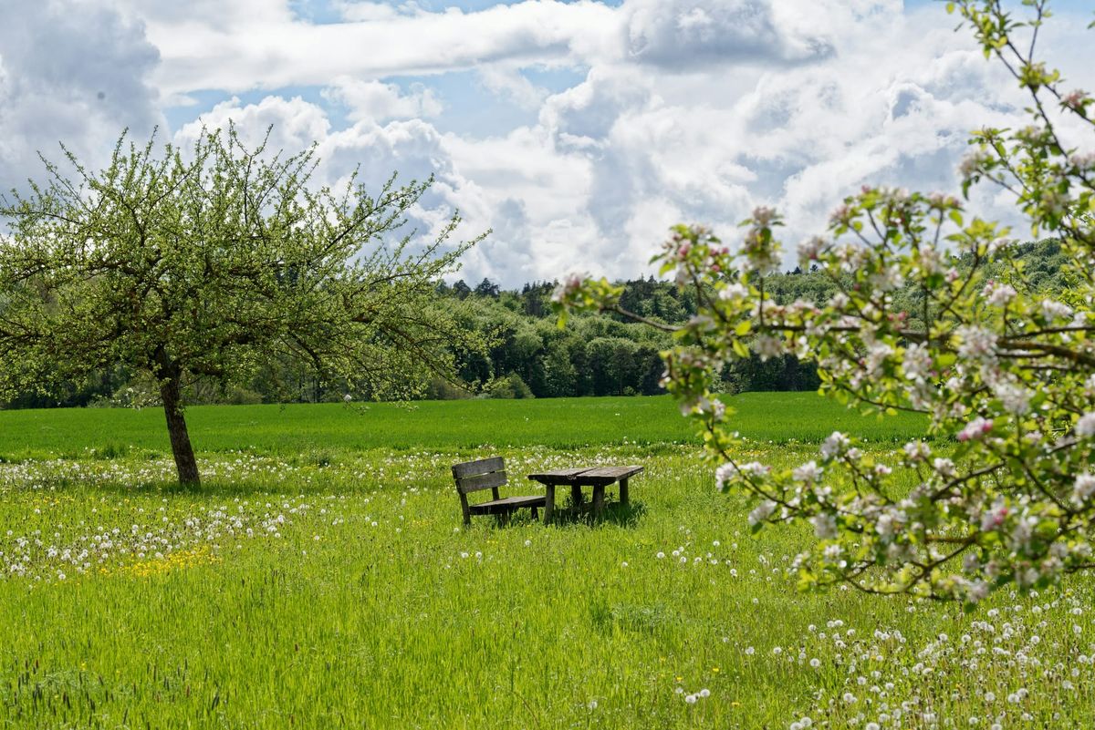 Finding the Quiet