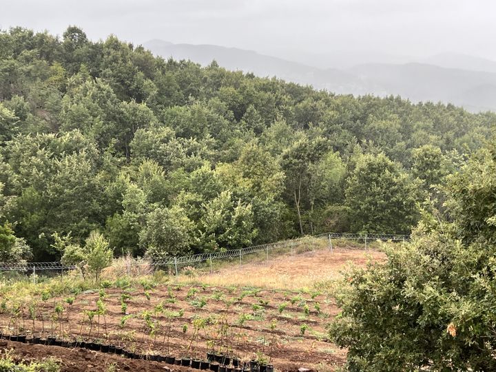 Farmlife