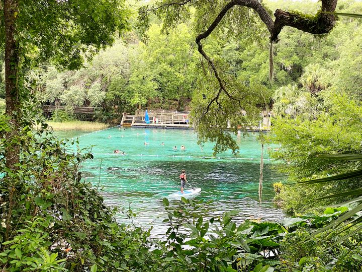 Natural Springs Across Florida