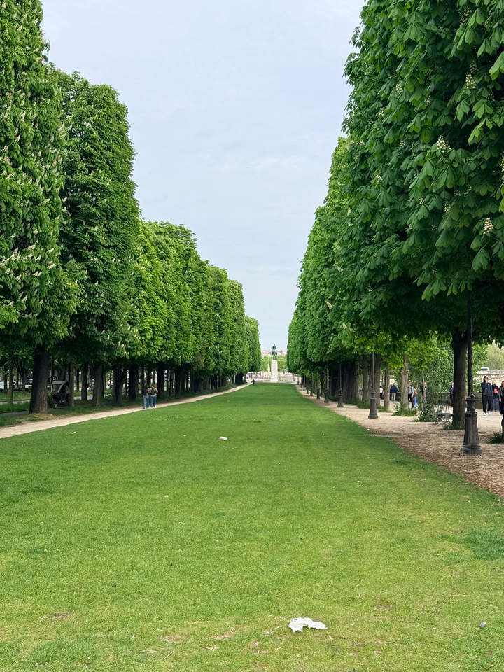 Should You See Paris in the Spring?