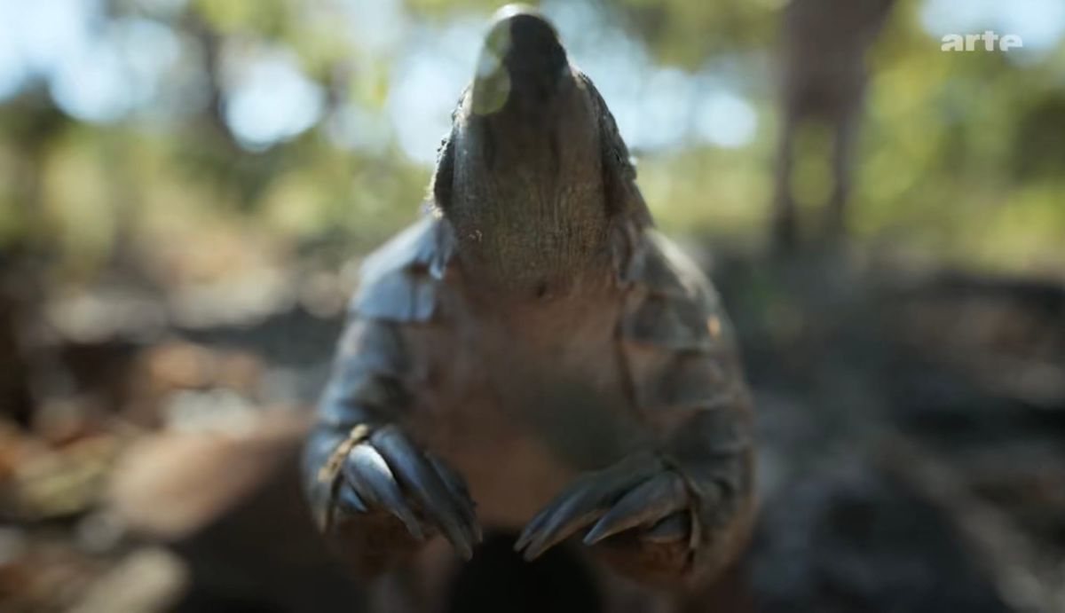 Kennst Du schon das Pangolin?
