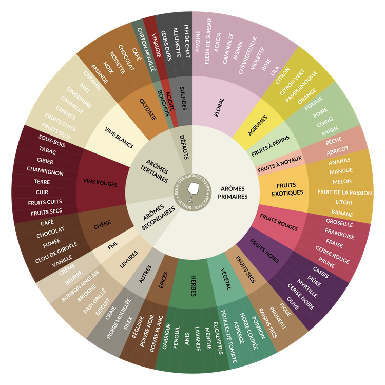 Roue des arômes