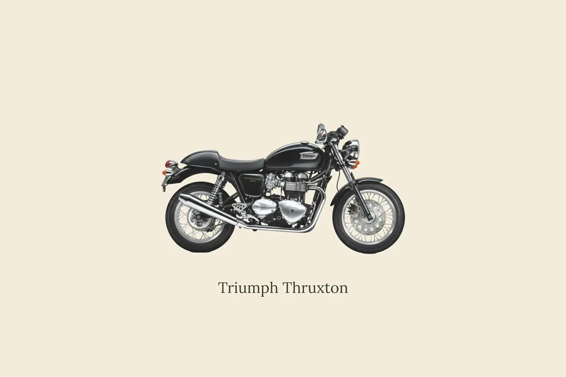 Illustration image of a Triumph Thruxton