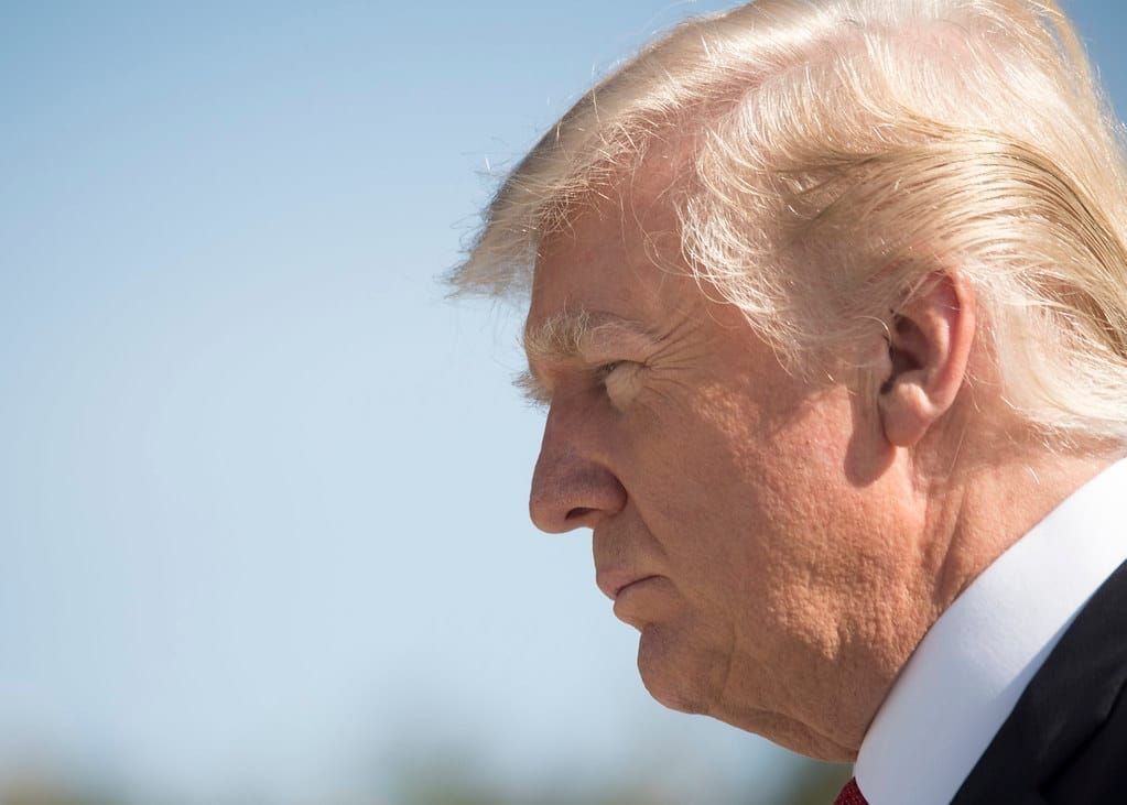 Supreme Court Ruling Shocker - Trump’s Hair Can file for divorce