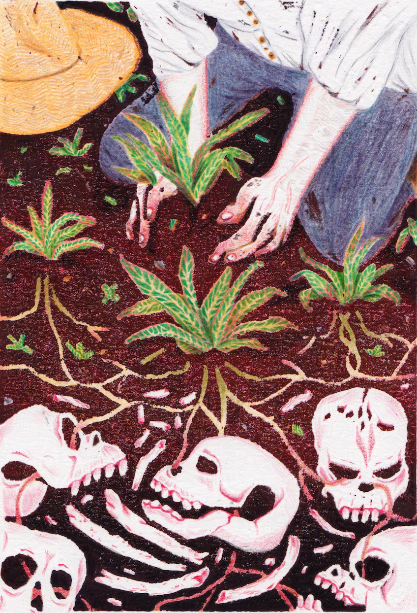 Body of kneeling figure scooping a plant, with roots leading to skulls and bones buried within soil