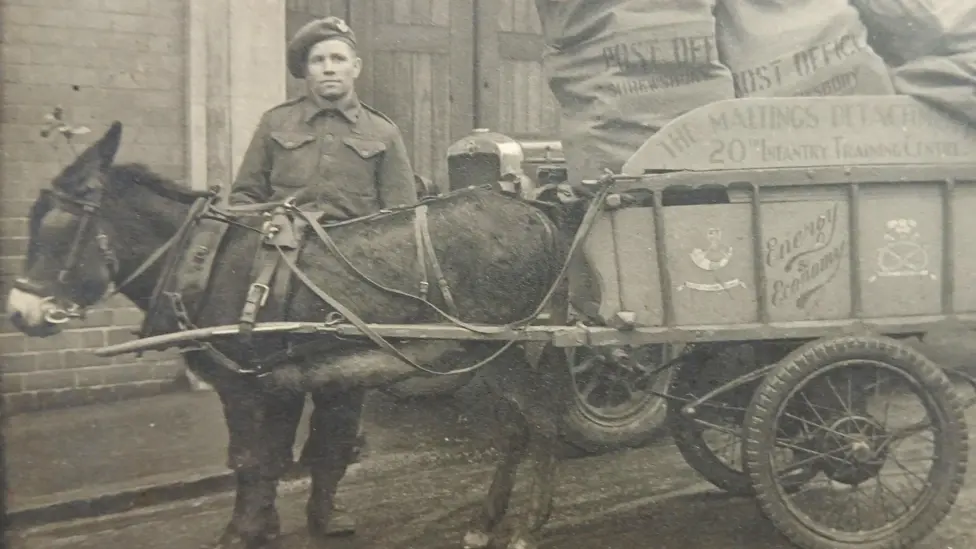 Black and white wartime photo of a donkey and soldier with cart full of mail