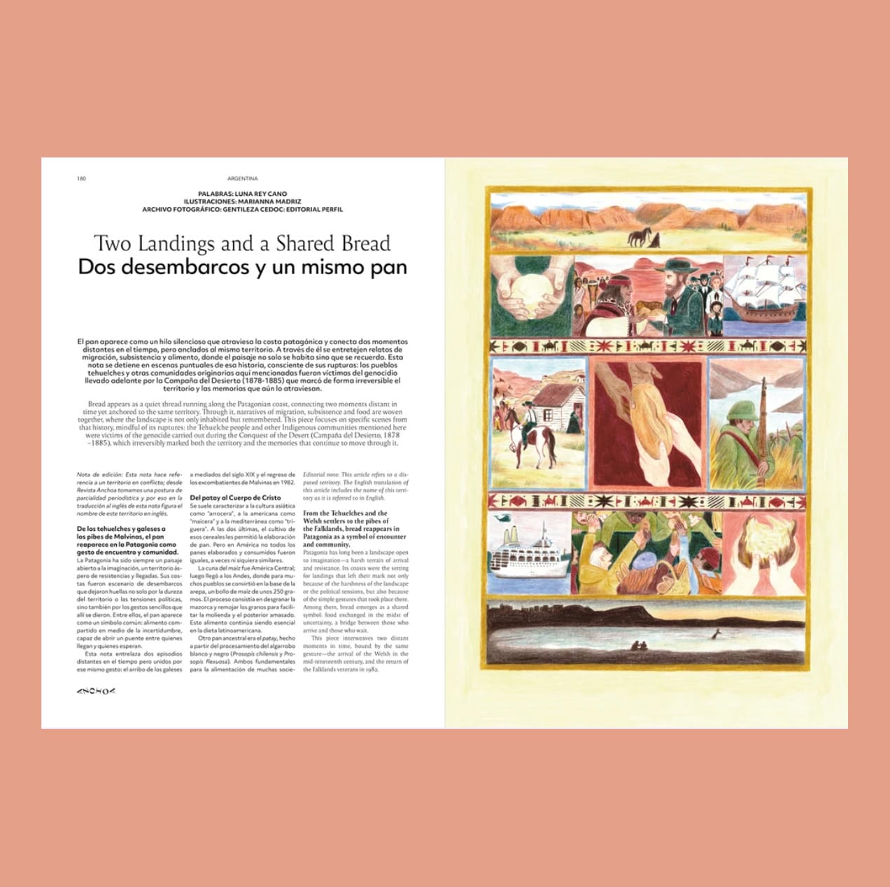Mock up showing ANCHOA article text on the left and full page illustration on right