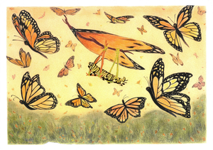 The Great Monarch Migration