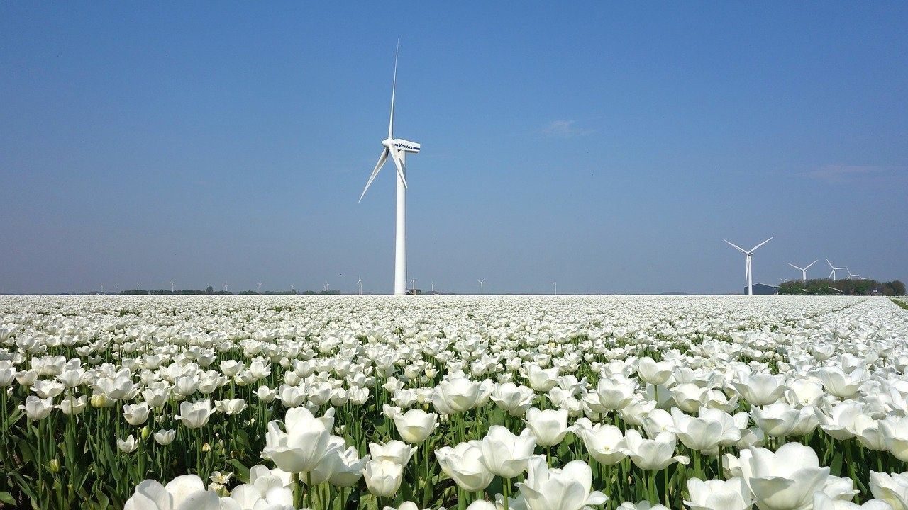 Nederland: zomer 2021 met stormen en overstromingen