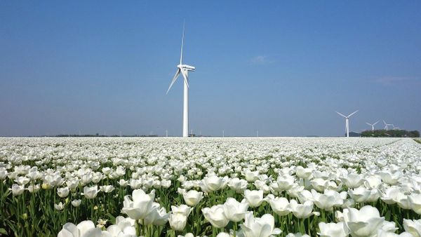 Nederland: zomer 2021 met stormen en overstromingen