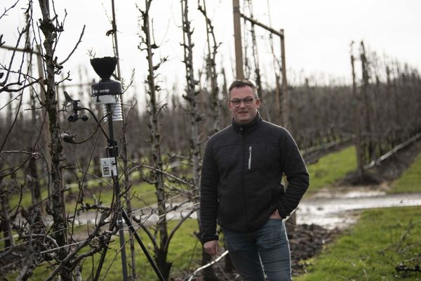 ‘Realtime weerdata zijn de sleutel voor goed teeltmanagement’