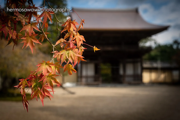 Takao and the Kiyotaki River