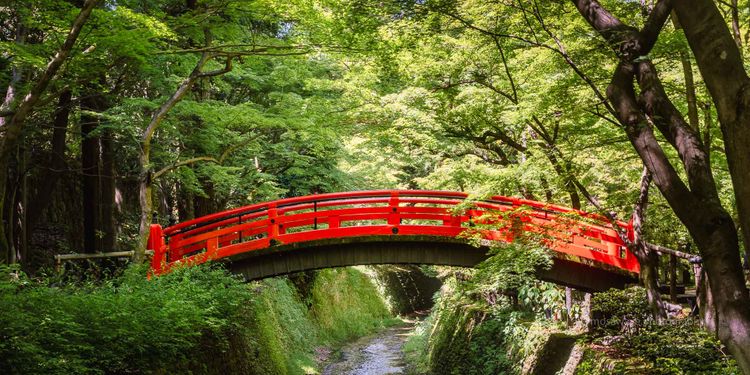 Seeing the Past in the Present - and Vice Versa.