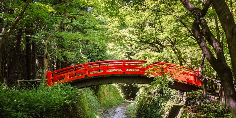 Seeing the Past in the Present - and Vice Versa.