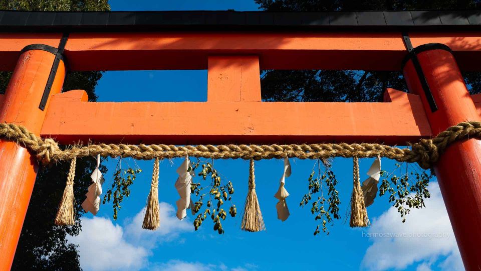 The Year of the Horse