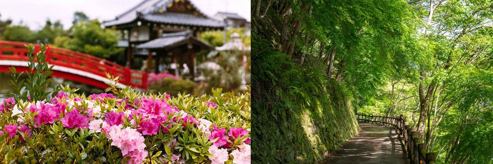 Spring in Kyoto