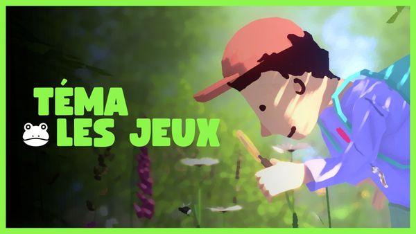 🐸 Penchez-vous sur le monde extérieur