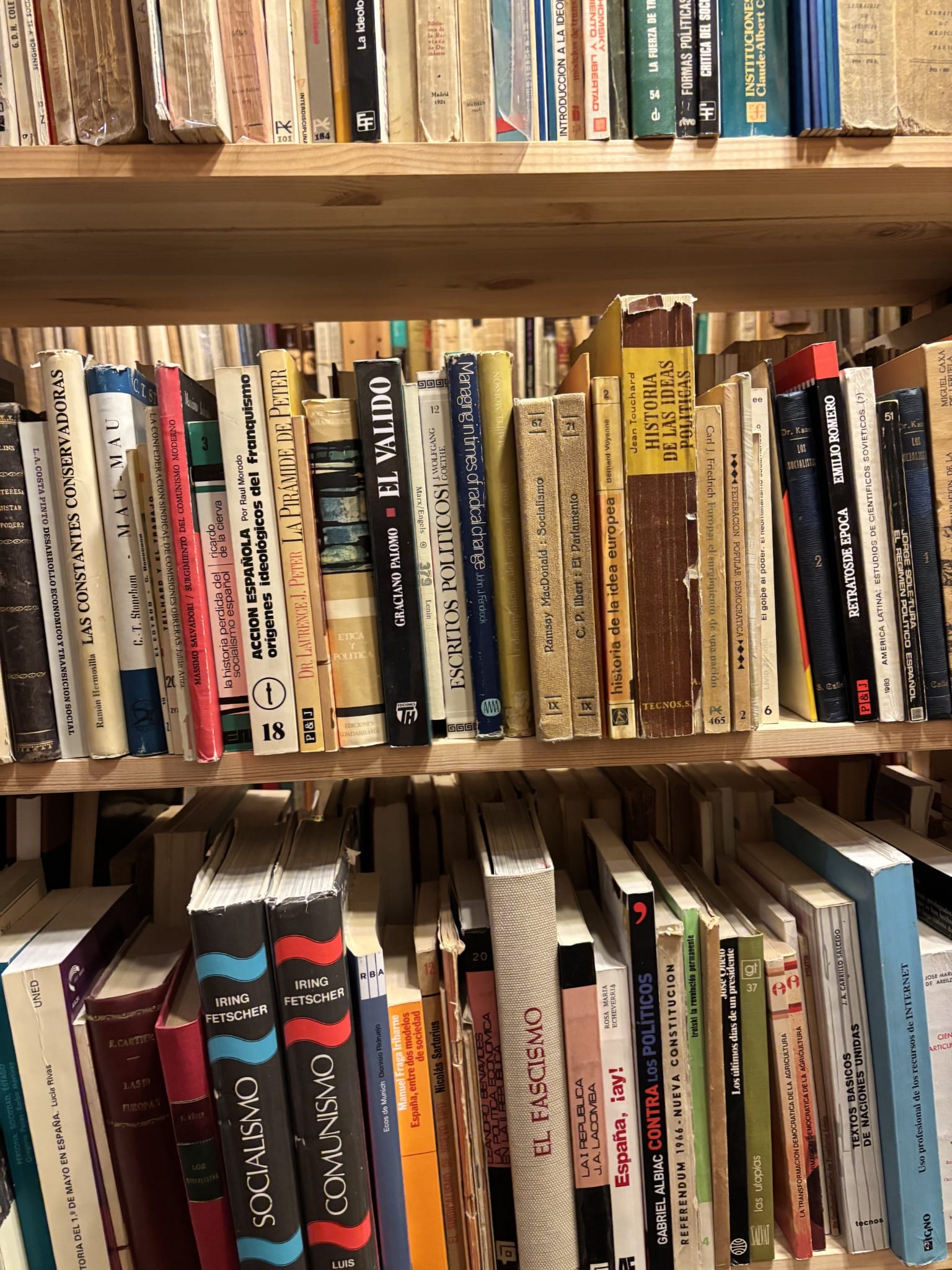 Books on political thought and history arranged on shelves at Torreón de Rueda.