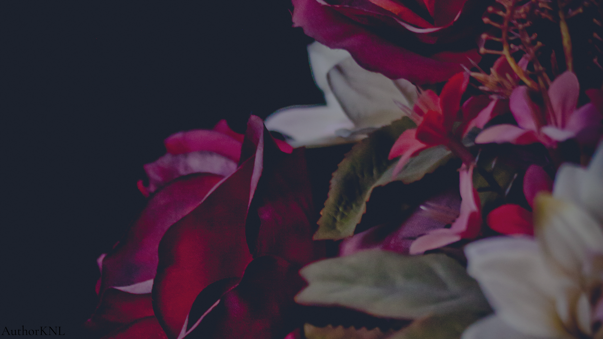 Katrina N. Lewis | Romantasy Author 