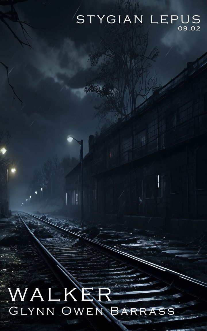 Walker by Glynn Owen Barrass