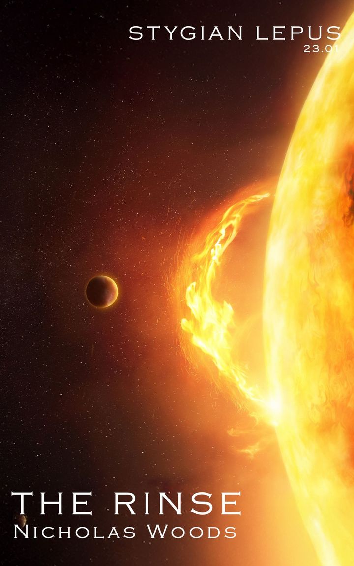 The Rinse by Nicholas Woods