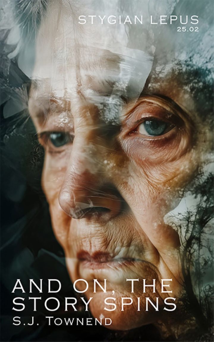 And On, the Story Spins by S.J. Townend