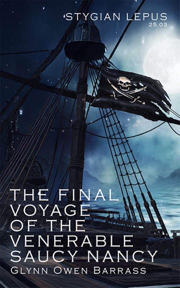 The Final Voyage of the Venerable Saucy Nancy by Glynn Owen Barrass