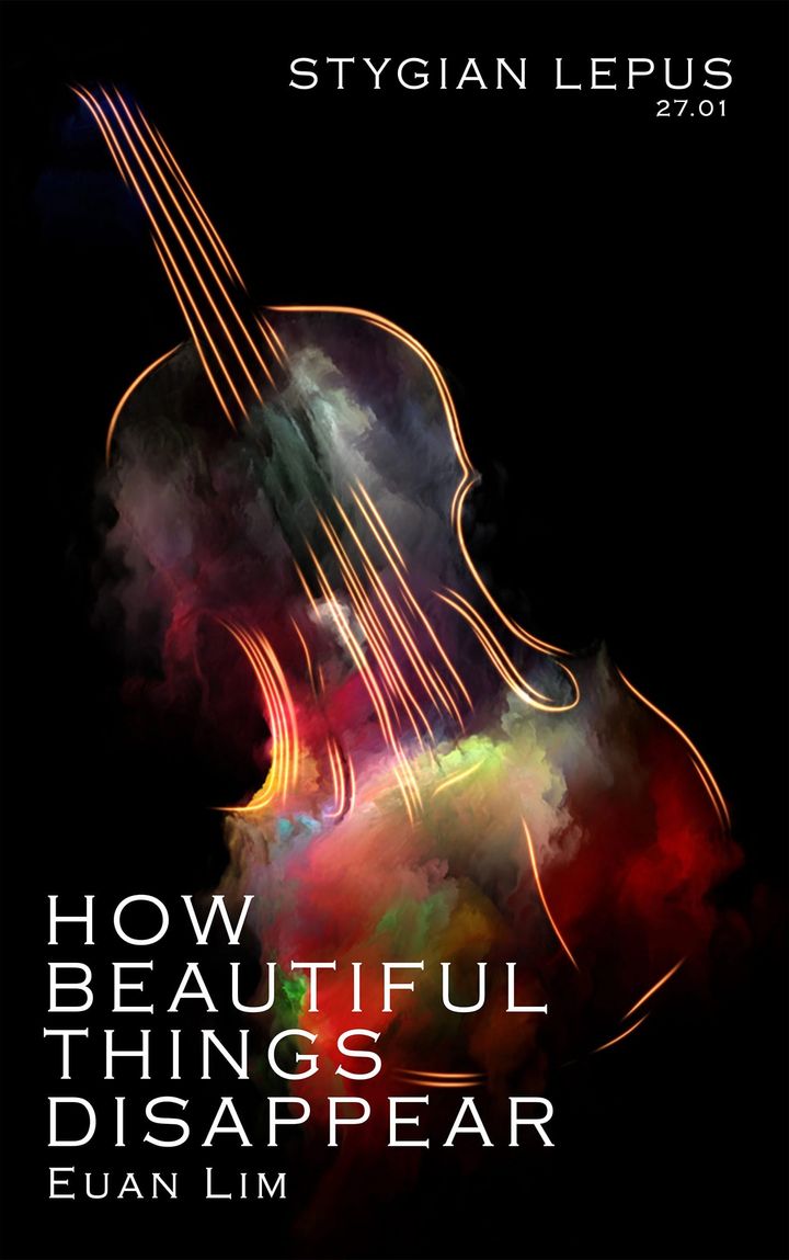 How Beautiful Things Disappear by Euan Lim