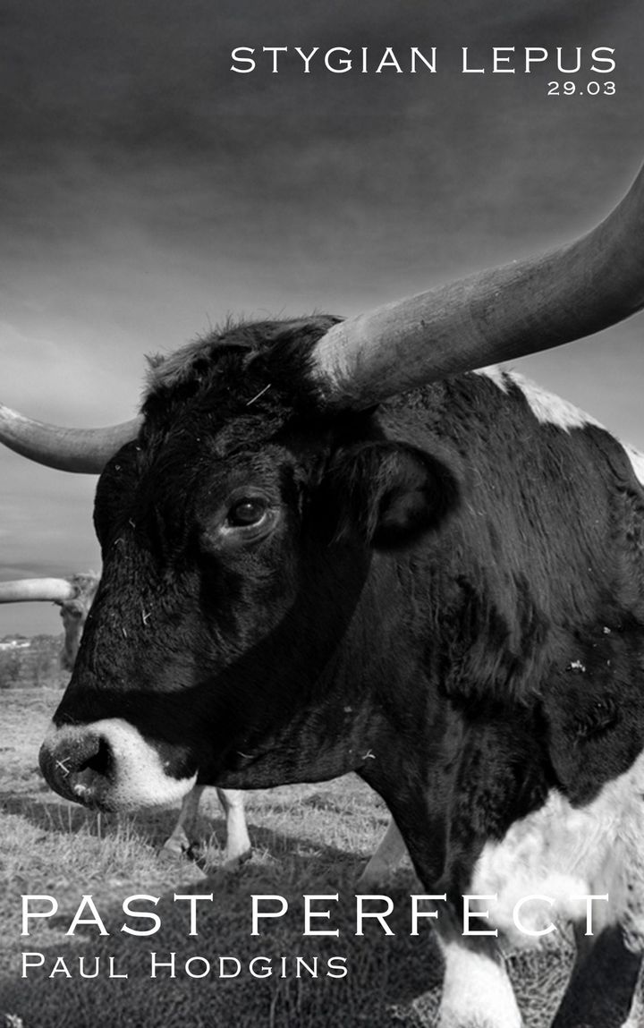 Past Perfect by Paul Hodgins