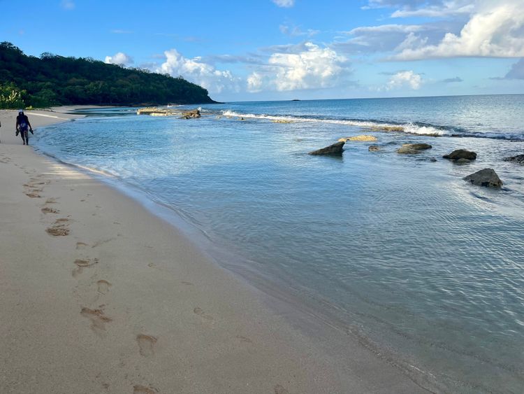 Person walking on a beautiful pink sand beach.
