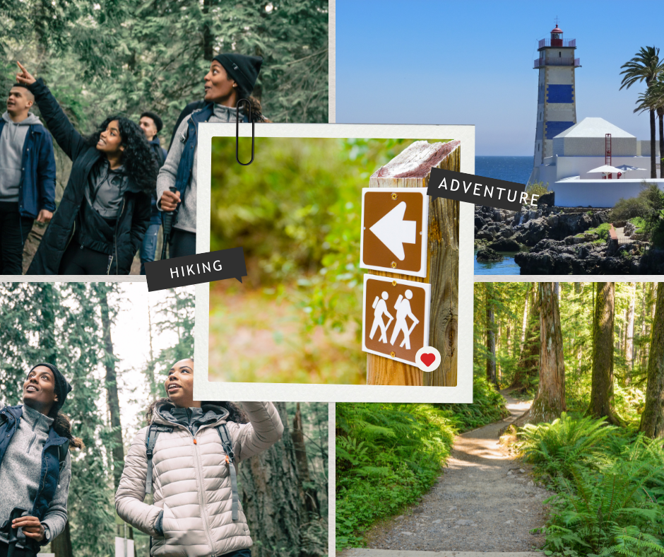 People hiking in various forests.