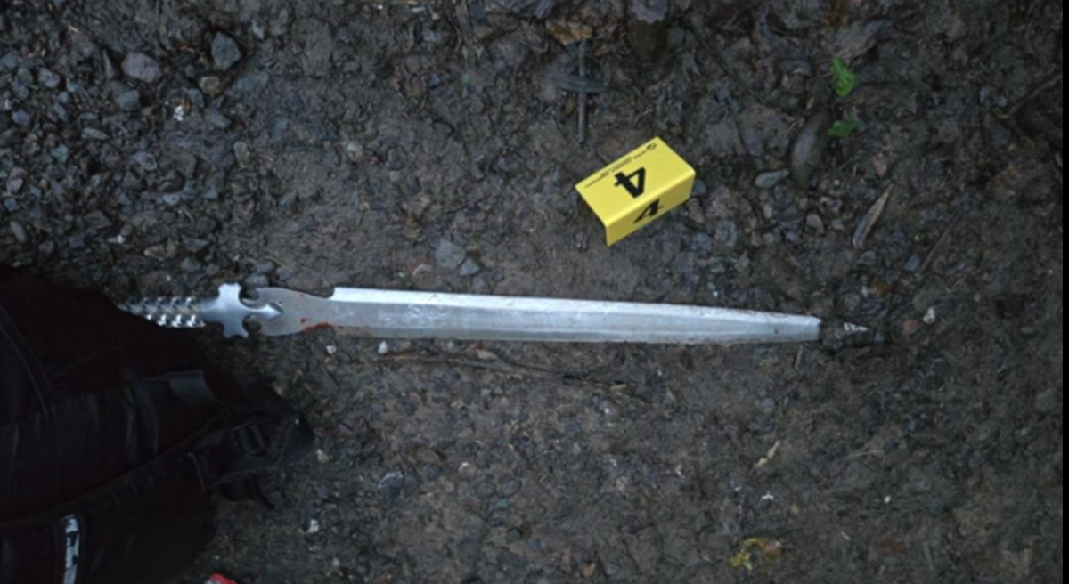A Plan to Take a Dog Ends in Near-Fatal Stabbing in Ukiah, Police Say