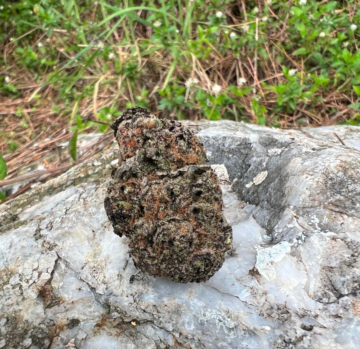 County to Overhaul Cannabis Taxes