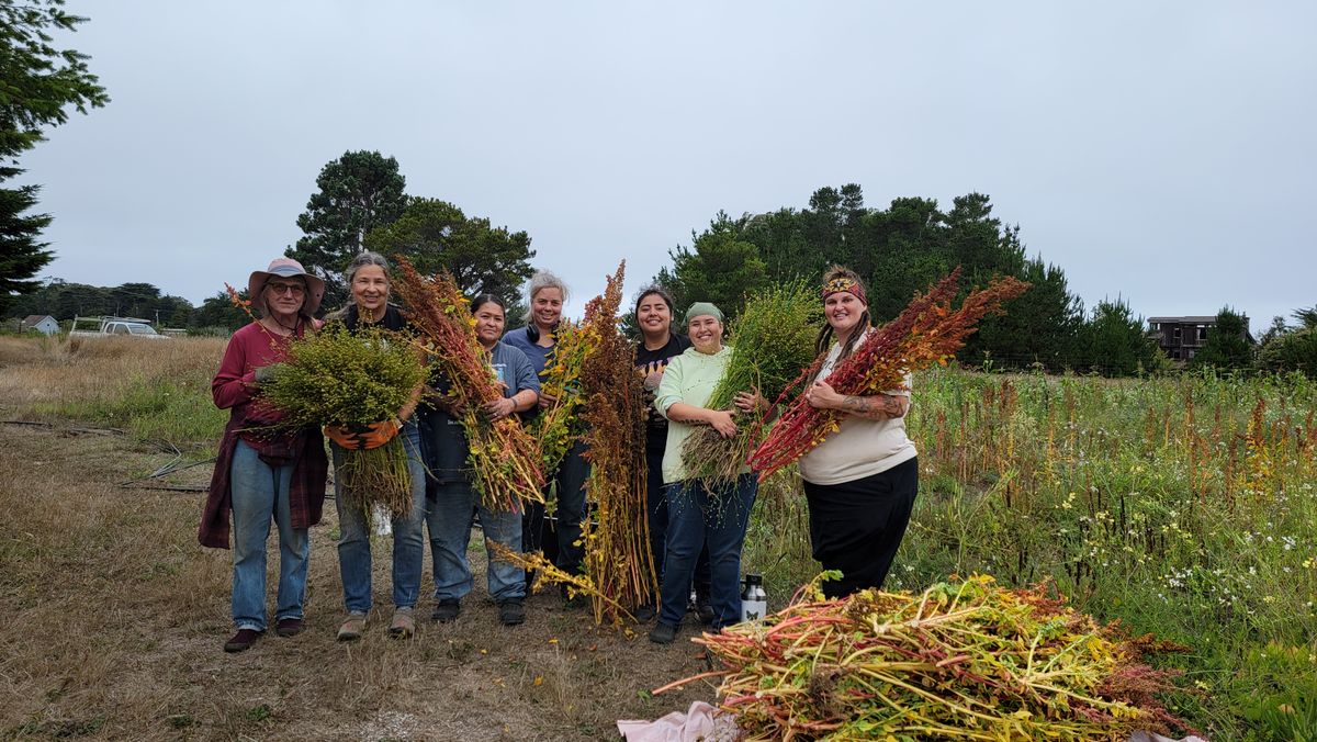 Seeds of Change: Mendocino Coast Farmers Cultivate Crops That Adapt to Their Environment