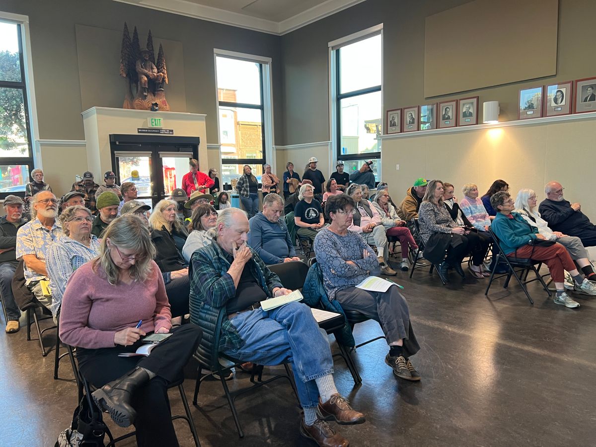 Fort Bragg City Council Expresses Support and Skepticism About State Forest Modernization Bill