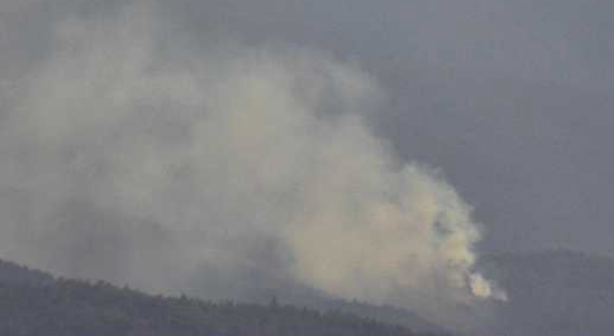 The "Timber Fire" Outside Covelo Reaches Twenty Acres