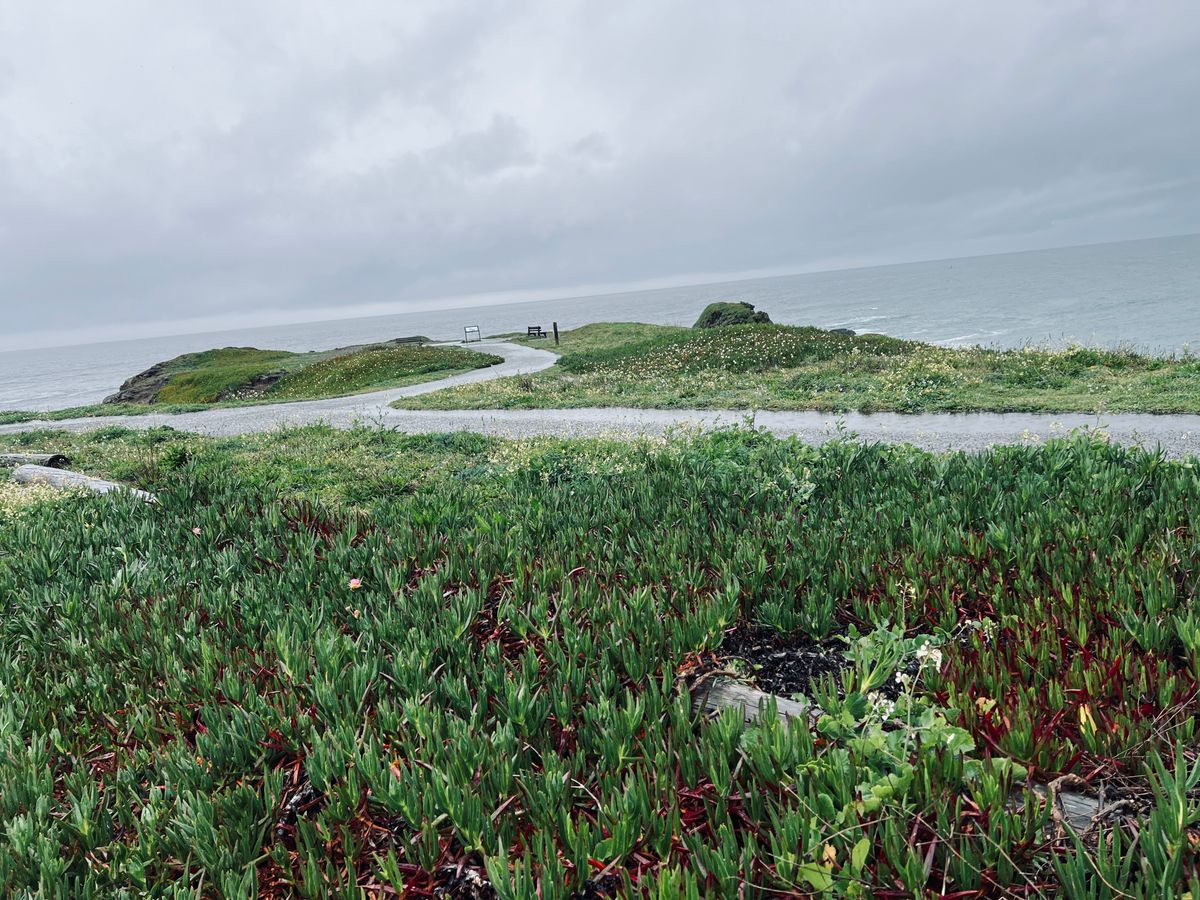 Mendo Local Weekly News — April 11, 2026